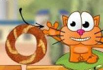Cat Around Asia