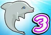 Dolphin Show 3