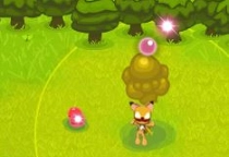 Forest Guardians