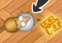 Käse Rennen