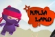 Ninja Land