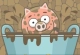 Piggy in the Puddle