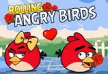 Rolling Angry Birds