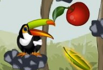Toucan In The Jungle