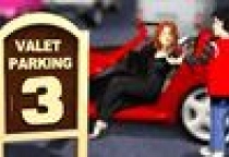 Valet Parking 3