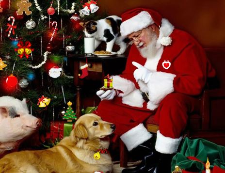 Weihnachtsmann Spiele Kostenlos Weihnachtsmann Spiele Kostenlos