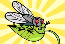 Insekten Unterschiede