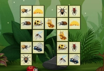 Insekten verbinden