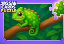 Jigsaw Cards Puzzles