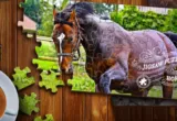 Play Jigsaw Puzzle Horses Edition Play Jigsaw Puzzle Horses Edition