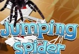 Jumping Spider Solitaire