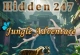 Jungle Adventure Wimmelbild