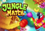 Jungle Match