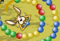 Kangaroo Zuma