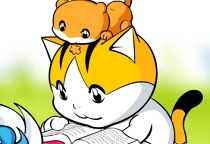 Katzen Connect