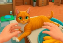Katzensimulator