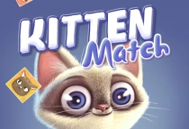 Kitten Match