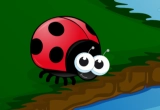 Ladybug Crosses The River