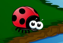 Ladybug Crosses The River