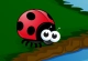 Ladybug Crosses The River
