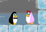 Play Verliebter Pinguin