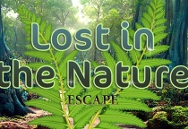Lost in the Nature Escape