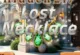 Lost Necklace Wimmelbild