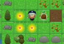 Magic Seeds