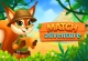 Match Adventure