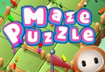 Maze Puzzle