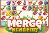 Merge Academy