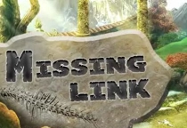 Missing Link