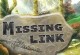 Play Missing Link