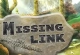 Missing Link