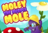 Molly The Purple Mole