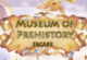 Museum of Prehistory Escape