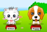 Play My Cute Pets 2