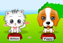 My Cute Pets 2