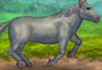 Play Mein Pferd Play Mein Pferd