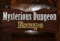 Mysterious Dungeon Escape