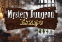 Mystery Dungeon