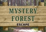 Mystery Forest Escape