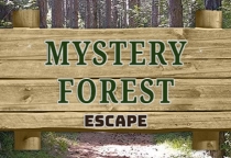 Mystery Forest Escape