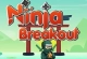 Ninja Breakout