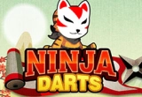 Ninja Dart