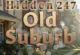 Old Suburb Wimmelbild