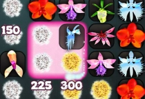 Orchido