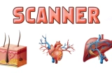 Organ Scanner Englisch