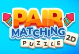 Pair Matching Puzzle 2D