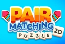 Pair Matching Puzzle 2D